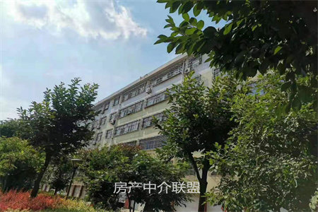 城北荣华嘉城，全新装修，满2唯一，随时看房，急售。